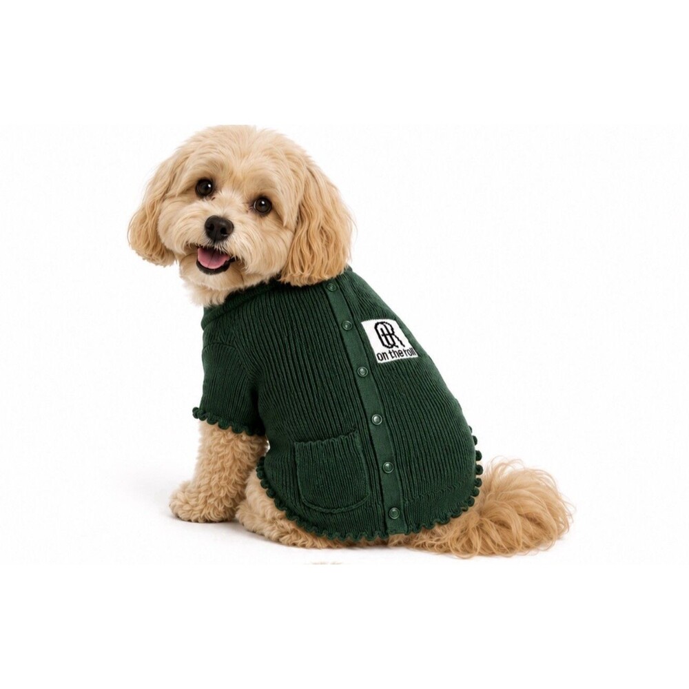 On the Roll Green Knit Dog Sweater Button Closure